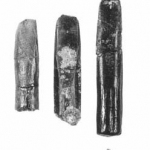 Rebbachisaurid teeth