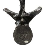 Neovenator vertebra