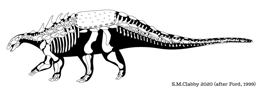 Polacanthus skeletal